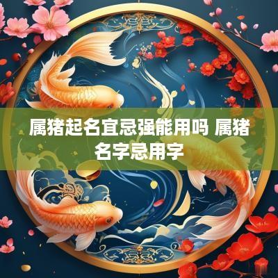 属猪起名宜忌强能用吗 属猪名字忌用字