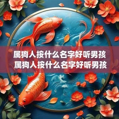 属狗人按什么名字好听男孩 属狗人按什么名字好听男孩子