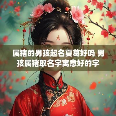 属猪的男孩起名夏葛好吗 男孩属猪取名字寓意好的字