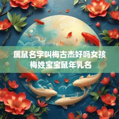 属鼠名字叫梅古杰好吗女孩 梅姓宝宝蛇年乳名