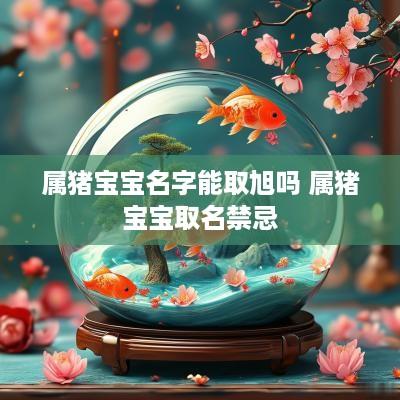 属猪宝宝名字能取旭吗 属猪宝宝取名禁忌