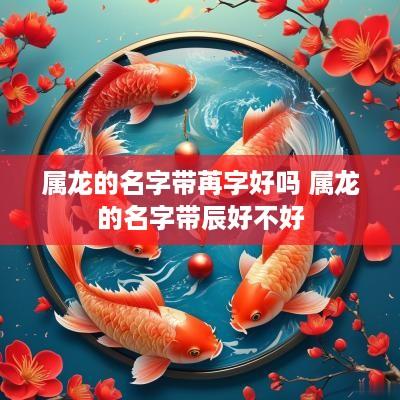属龙的名字带苒字好吗 属龙的名字带辰好不好