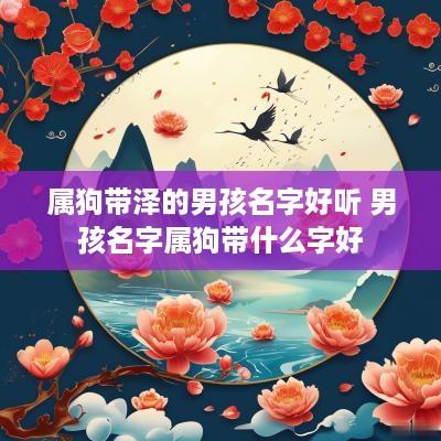 属狗带泽的男孩名字好听 男孩名字属狗带什么字好