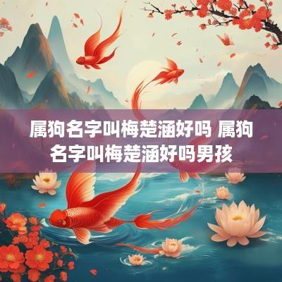 属狗名字叫梅楚涵好吗 属狗名字叫梅楚涵好吗男孩
