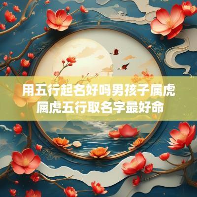 用五行起名好吗男孩子属虎 属虎五行取名字最好命