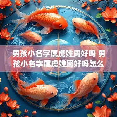 男孩小名字属虎姓周好吗 男孩小名字属虎姓周好吗怎么取