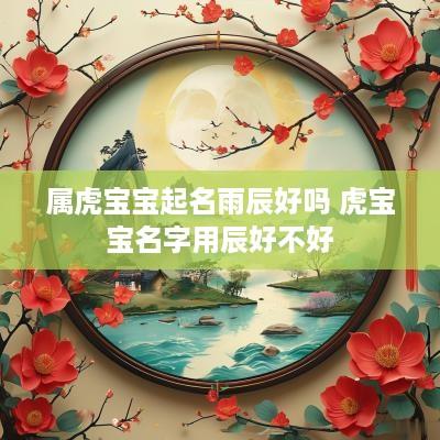 属虎宝宝起名雨辰好吗 虎宝宝名字用辰好不好