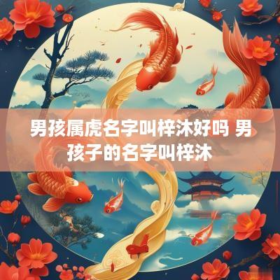 男孩属虎名字叫梓沐好吗 男孩子的名字叫梓沐