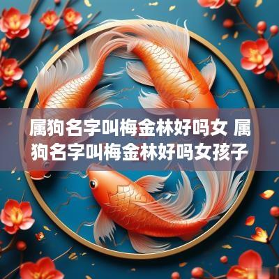 属狗名字叫梅金林好吗女 属狗名字叫梅金林好吗女孩子