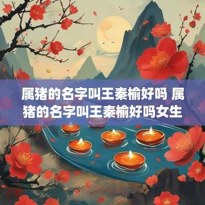 属猪的名字叫王秦榆好吗 属猪的名字叫王秦榆好吗女生