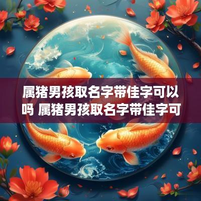 属猪男孩取名字带佳字可以吗 属猪男孩取名字带佳字可以吗
