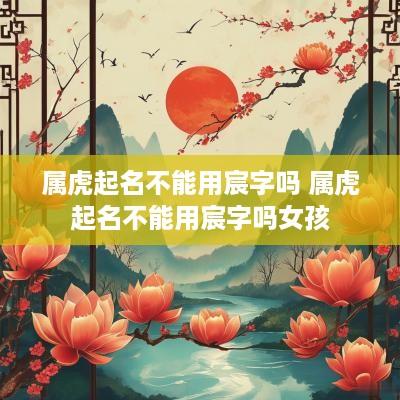 属虎起名不能用宸字吗 属虎起名不能用宸字吗女孩