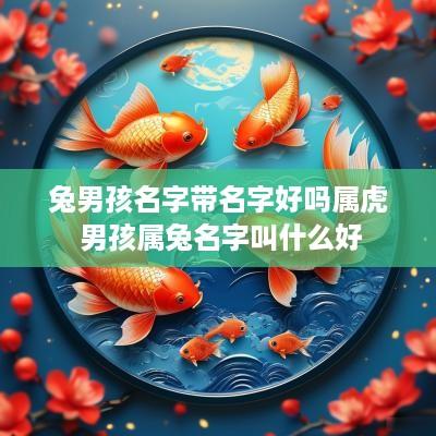 兔男孩名字带名字好吗属虎 男孩属兔名字叫什么好