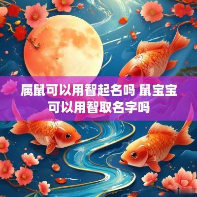 属鼠可以用智起名吗 鼠宝宝可以用智取名字吗