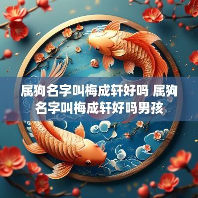 属狗名字叫梅成轩好吗 属狗名字叫梅成轩好吗男孩
