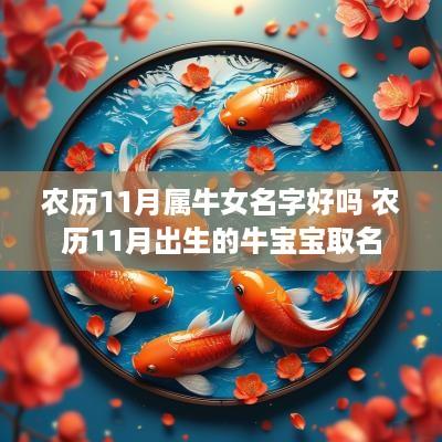 农历11月属牛女名字好吗 农历11月出生的牛宝宝取名