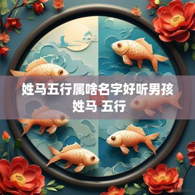 姓马五行属啥名字好听男孩 姓马 五行