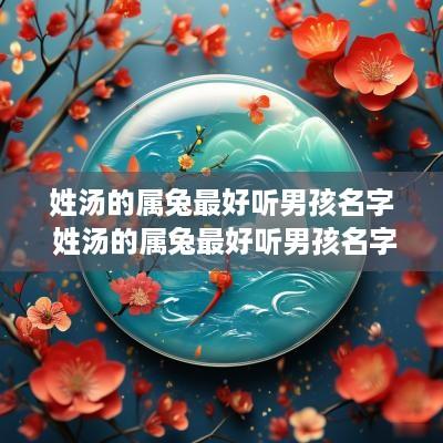 姓汤的属兔最好听男孩名字 姓汤的属兔最好听男孩名字有哪些