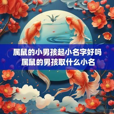 属鼠的小男孩起小名字好吗 属鼠的男孩取什么小名