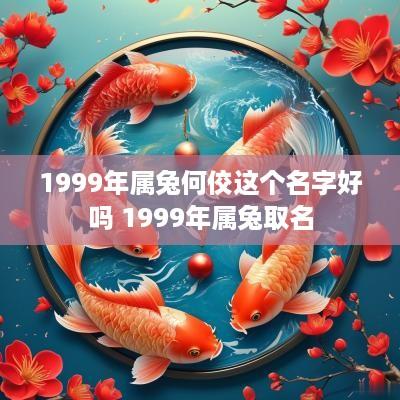 1999年属兔何佼这个名字好吗 1999年属兔取名