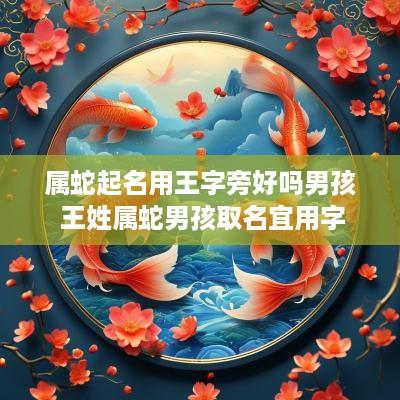 属蛇起名用王字旁好吗男孩 王姓属蛇男孩取名宜用字