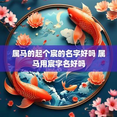 属马的起个宸的名字好吗 属马用宸字名好吗