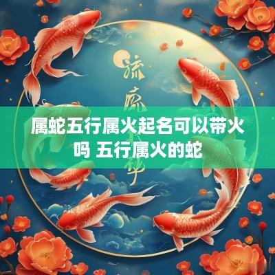 属蛇五行属火起名可以带火吗 五行属火的蛇