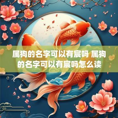 属狗的名字可以有宸吗 属狗的名字可以有宸吗怎么读