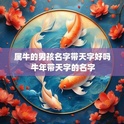 属牛的男孩名字带天字好吗 蛇年带天字的名字
