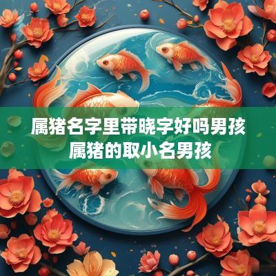 属猪名字里带晓字好吗男孩 属猪的取小名男孩