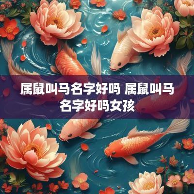 属鼠叫马名字好吗 属鼠叫马名字好吗女孩