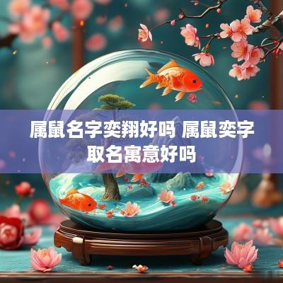 属鼠名字奕翔好吗 属鼠奕字取名寓意好吗