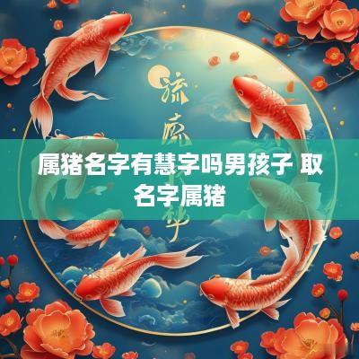属猪名字有慧字吗男孩子 取名字属猪