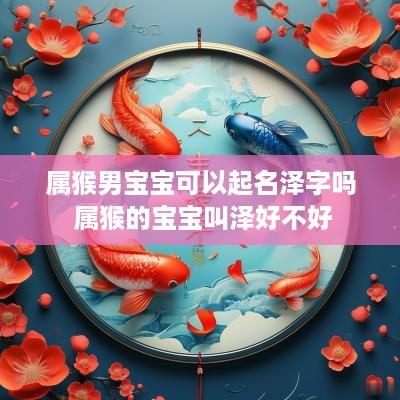 属猴男宝宝可以起名泽字吗 属猴的宝宝叫泽好不好