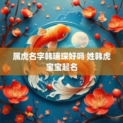 属虎名字韩瑞琛好吗 姓韩虎宝宝起名