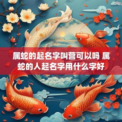 属蛇的起名字叫营可以吗 属蛇的人起名字用什么字好