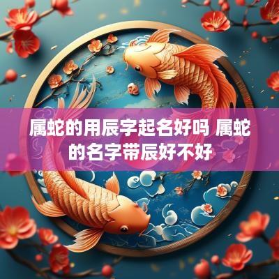 属蛇的用辰字起名好吗 属蛇的名字带辰好不好