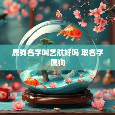 属狗名字叫艺航好吗 取名字属狗