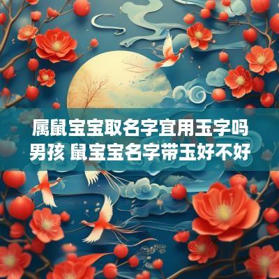 属鼠宝宝取名字宜用玉字吗男孩 鼠宝宝名字带玉好不好