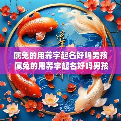 属兔的用荞字起名好吗男孩 属兔的用荞字起名好吗男孩子
