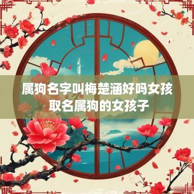 属狗名字叫梅楚涵好吗女孩 取名属狗的女孩子