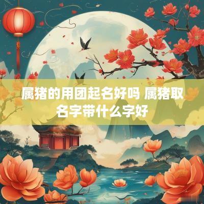 属猪的用团起名好吗 属猪取名字带什么字好