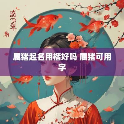 属猪起名用楷好吗 属猪可用字