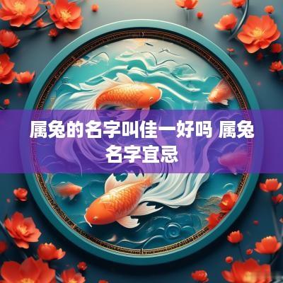 属兔的名字叫佳一好吗 属兔名字宜忌