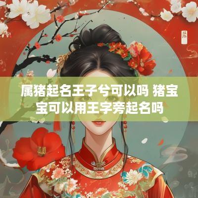 属猪起名王子兮可以吗 猪宝宝可以用王字旁起名吗