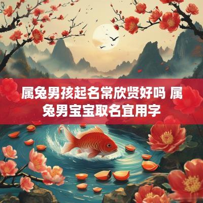 属兔男孩起名常欣贤好吗 属兔男宝宝取名宜用字