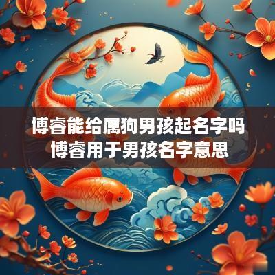 博睿能给属狗男孩起名字吗 博睿用于男孩名字意思