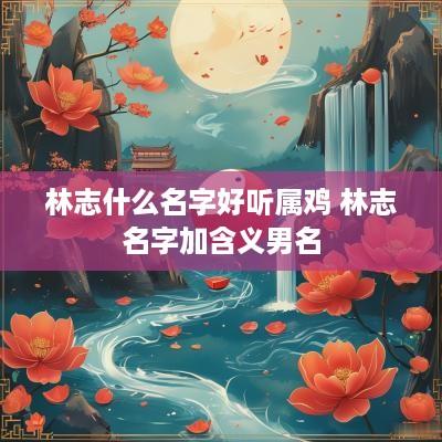 林志什么名字好听属鸡 林志名字加含义男名
