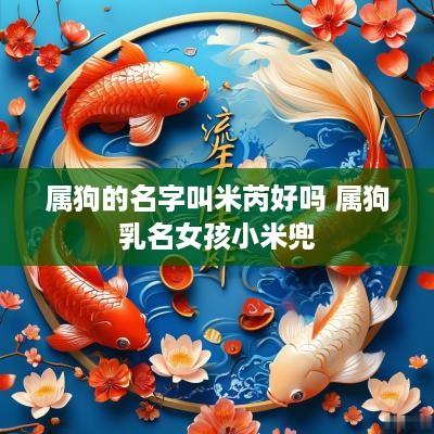属狗的名字叫米芮好吗 属狗乳名女孩小米兜