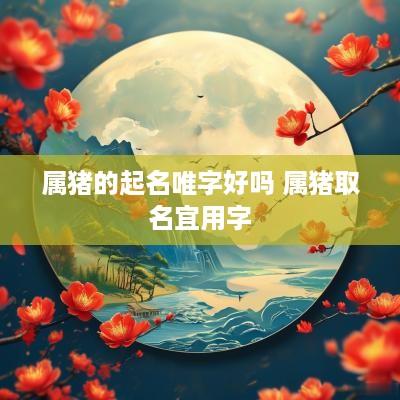 属猪的起名唯字好吗 属猪取名宜用字